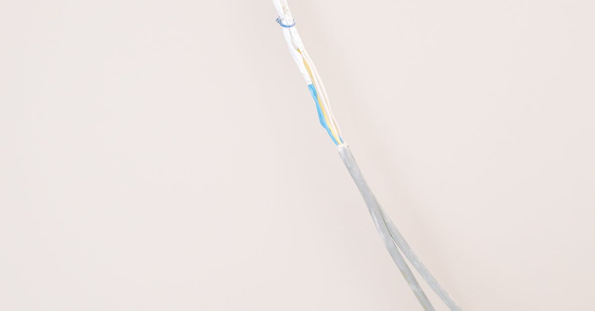 Best Practices for Lighting Maintenance in Business Spaces