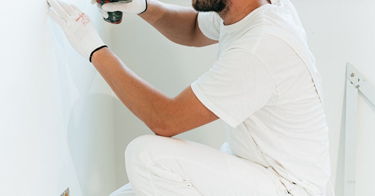 Maximising Your Home's Energy Efficiency with Upgraded Appliances